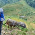 Trekking in Sapa with a toddler